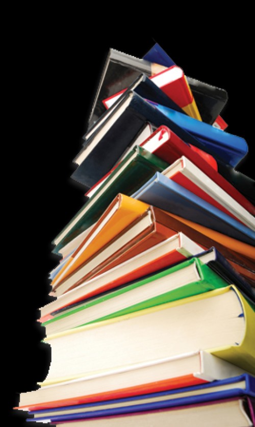 Bgestión: Catalogación Bibliotecaria