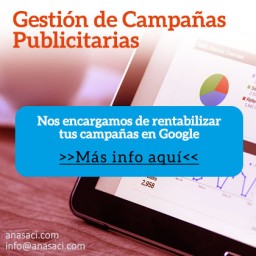 Gestores de campa&ntilde;as de google en Zaragoza